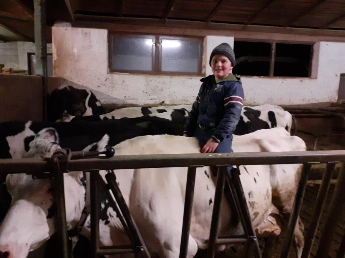 Schweiggerhof -Agriturismo- Farm Holidays ヴィッランドロ エクステリア 写真