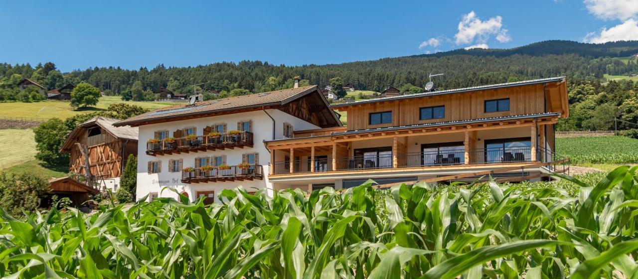 Schweiggerhof -Agriturismo- Farm Holidays ヴィッランドロ エクステリア 写真