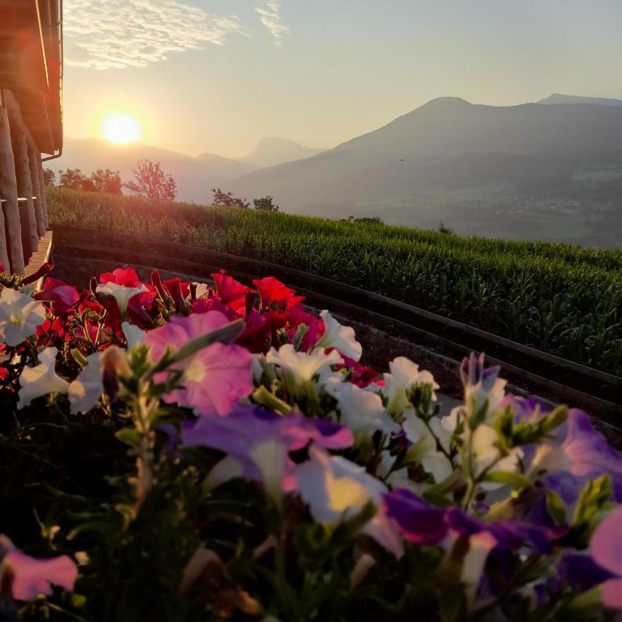 Schweiggerhof -Agriturismo- Farm Holidays ヴィッランドロ エクステリア 写真