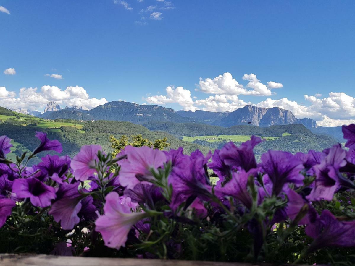 Schweiggerhof -Agriturismo- Farm Holidays ヴィッランドロ エクステリア 写真