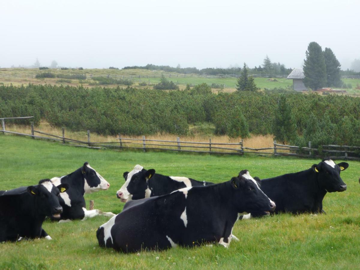 Schweiggerhof -Agriturismo- Farm Holidays ヴィッランドロ エクステリア 写真